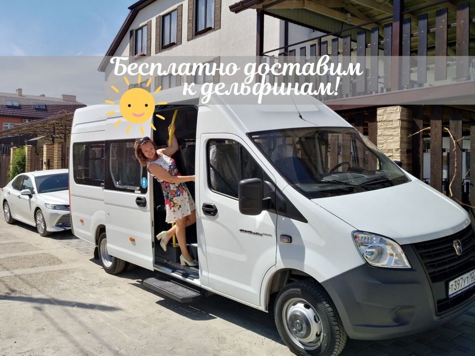 Доставка к дельфинам - каждые полчаса/час