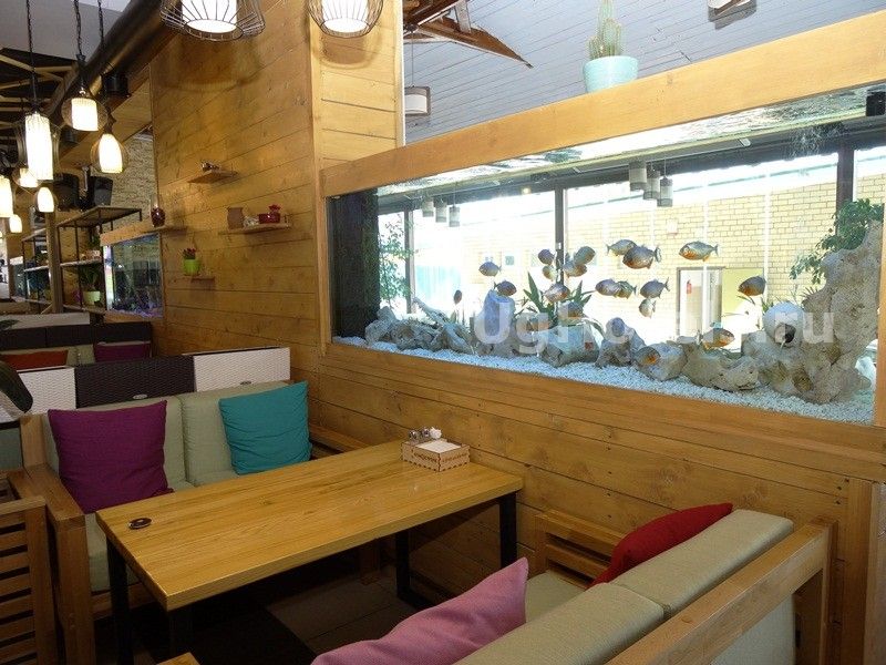 Lounge bar Атмосфера