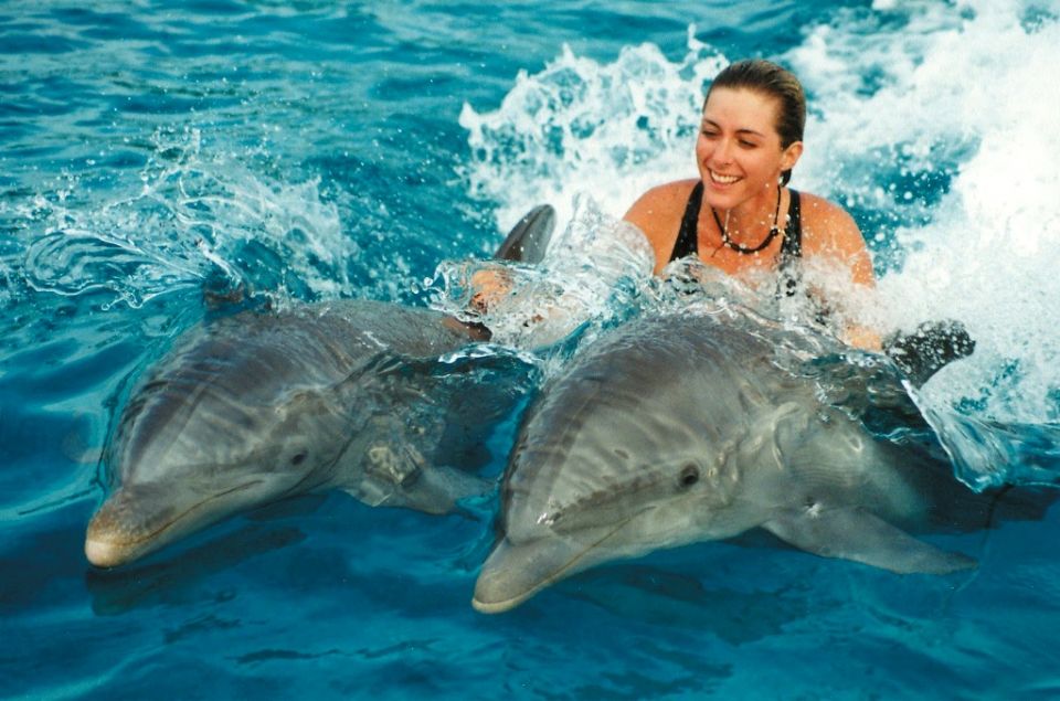 Развлечения: дельфинарий в Евпатории