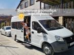 Доставка к дельфинам - каждые полчаса/час